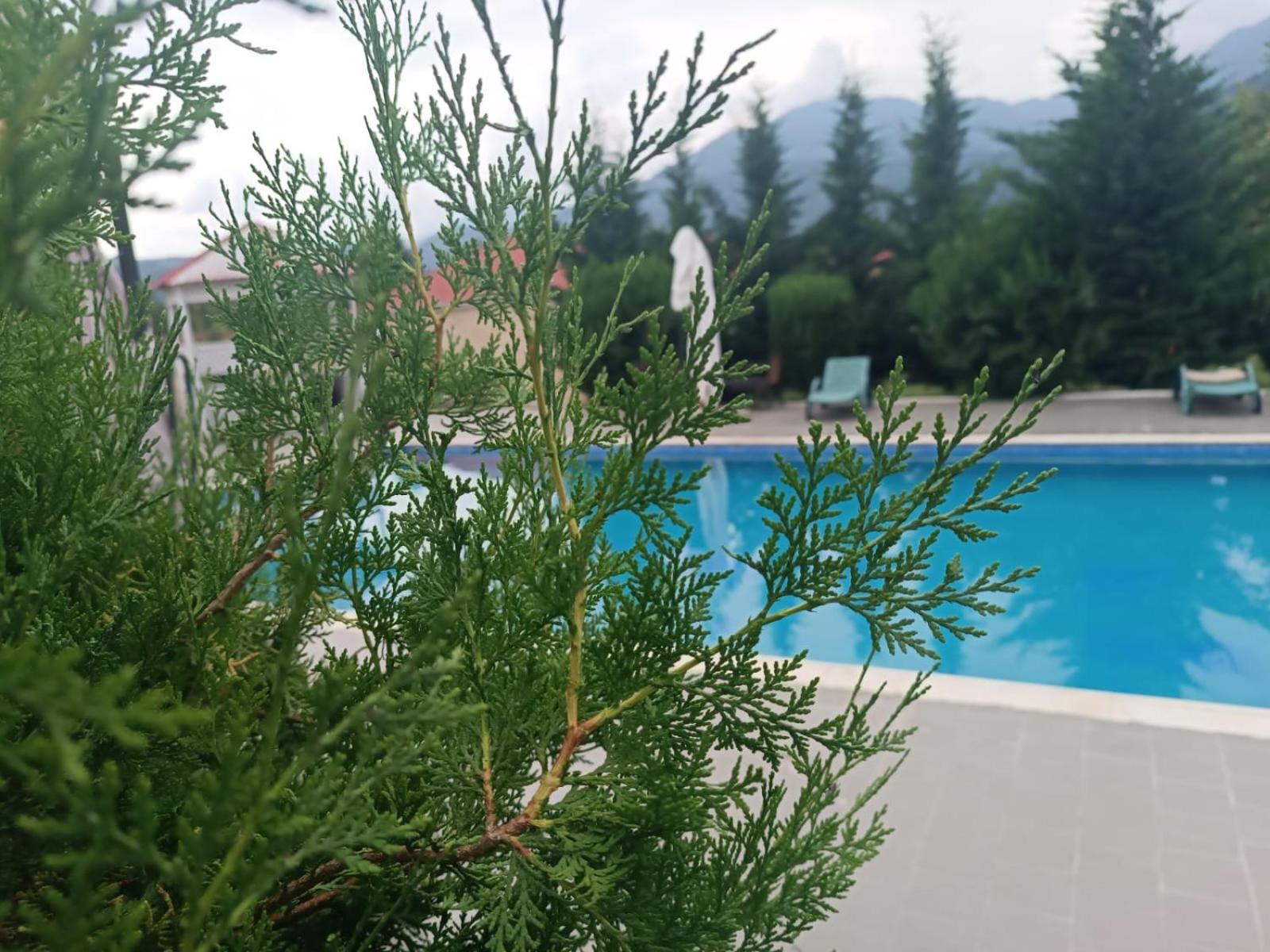 Gabala Bliss Inn Hotel And Restaurant Zewnętrze zdjęcie
