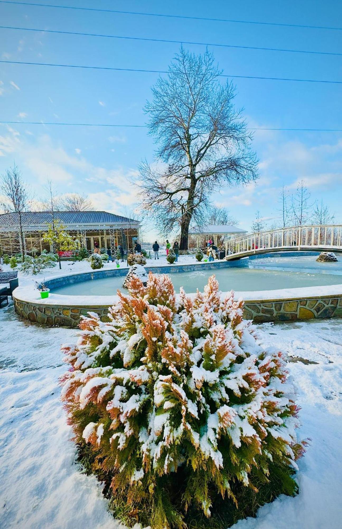 Gabala Bliss Inn Hotel And Restaurant Zewnętrze zdjęcie