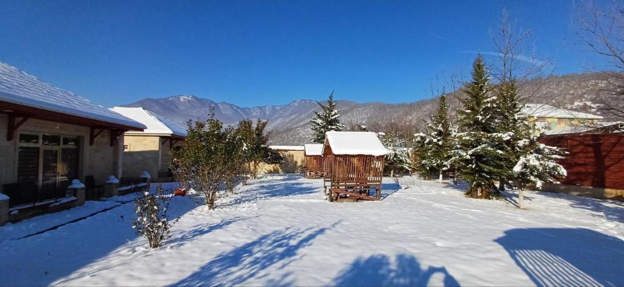 Gabala Bliss Inn Hotel And Restaurant Zewnętrze zdjęcie